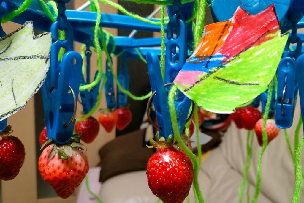 家の洗濯バサミにイチゴがなってる