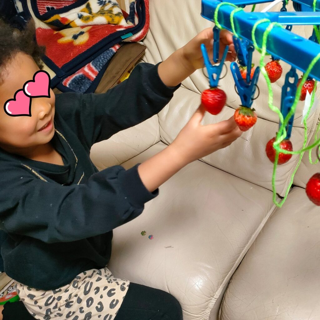 家で いちご狩り を楽しむ子供
