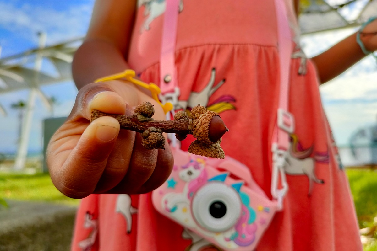 子供　トイカメラ　キッズカメラ デジタルカメラ プレゼント, 写真好き 女の子のプレゼント 誕生日プレゼント クリスマスプレゼント