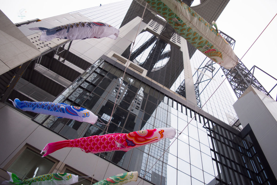 大阪スカイビルの鯉のぼり